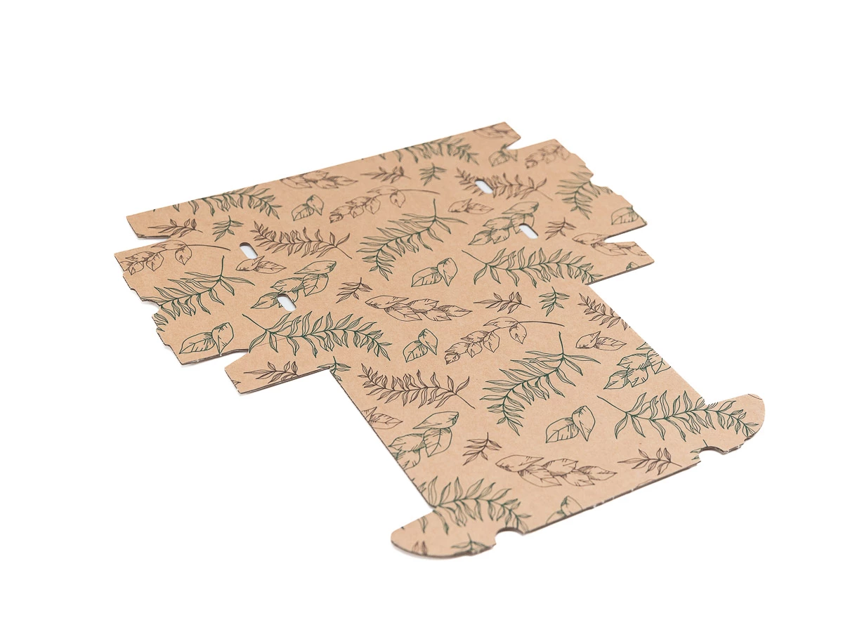 Darčeková krabica s potlačou listov 220x150x42 mm - 002