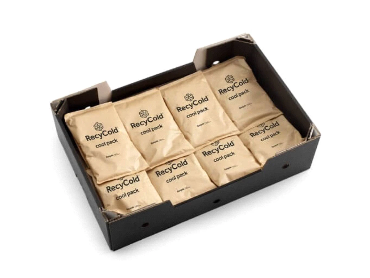 RecyCold Coolpack 600 g - 002