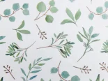 Hodvábny papier 500x760 Eukalyptus (200ks)