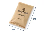 RecyCold Coolpack 600 g