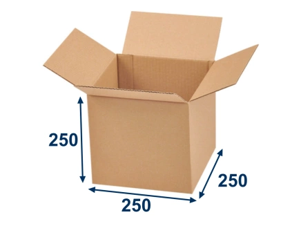 Krabica chlopňová 250x250x250 3VVL